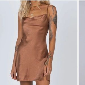 Brown silk, Princess Polly dress